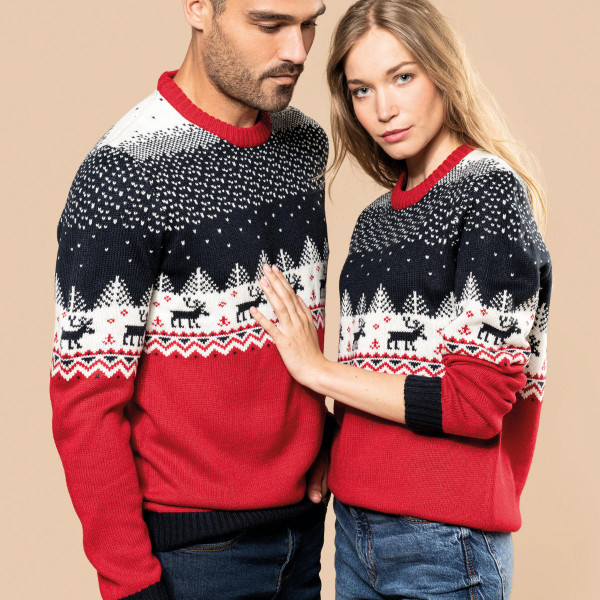 Unisex Christmas Sweater with Reindeer